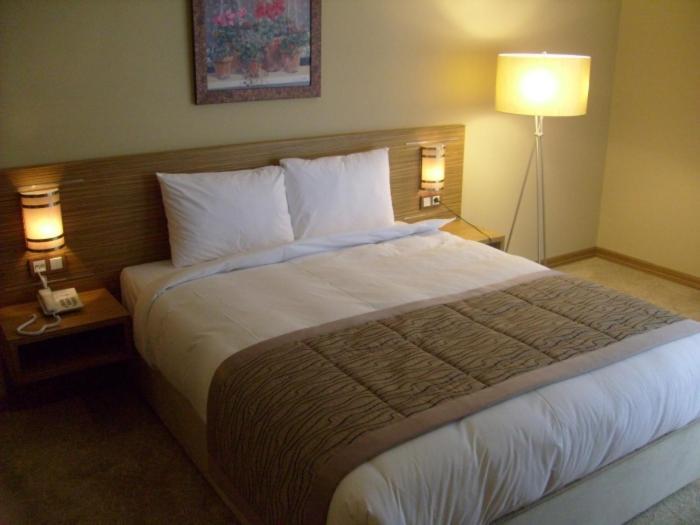 Hotel Almina Park Duzce ห้อง รูปภาพ